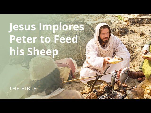 John 21 |Jesus Christ Implores Peter to "Feed My Sheep" | The Bible