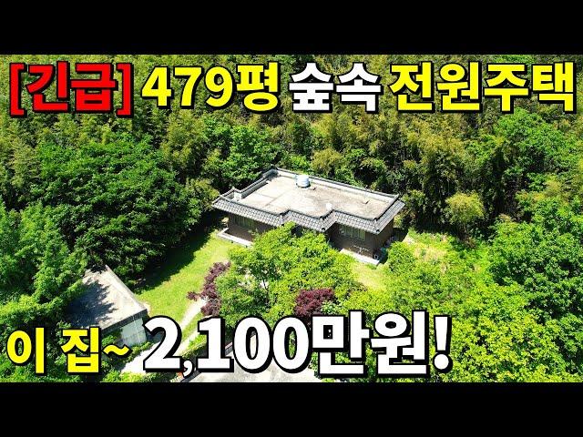 이게 웬 횡재냐~ 안 팔려서 던집니다! 땅479평 공짜 주택 등장! 이 집~ 2,100만원! 주변시세 무시하는 땅값!