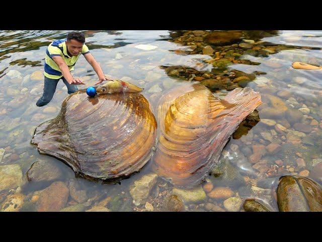 I was stunned when I pried open the giant clam, and I obtained a huge red pearl that was priceless