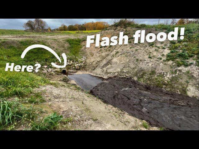 Beaver Dam Collapse In to The Pipe ?