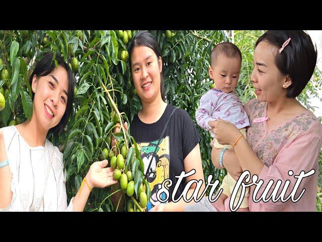 Accidental Encounter, Ly Phuc Hang Helps Look After Baby To Harvest Starfruit / Ly Chau Hang