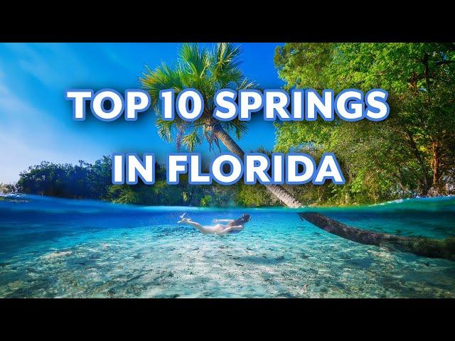 Top 10 Springs In Florida You Must Visit | Ultimate Florida Springs Bucket List