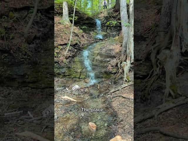 Take a hike! Check out Fitzroy Provincial Park for this waterfall #ontariohiking #ontario #camping