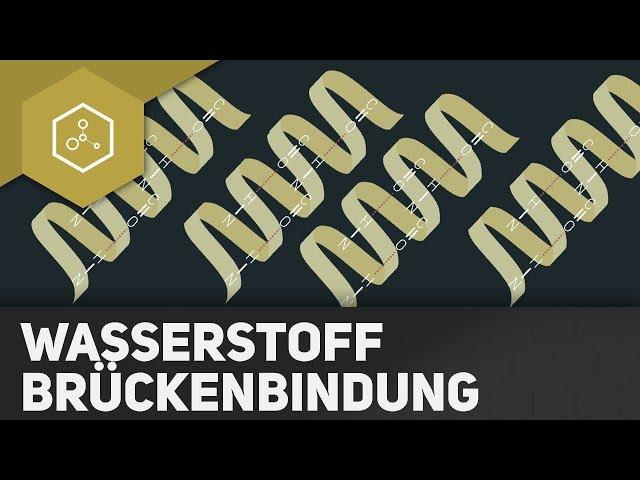 Was sind Wasserstoffbrückenbindungen? - REMAKE