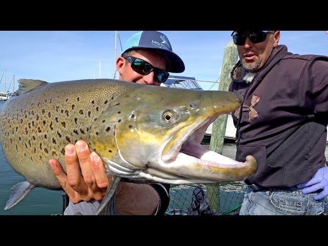 Fishing for Monster Brown Trout by Downtown Milwaukee on Lake Michigan - ft. Eric Haataja - 4K