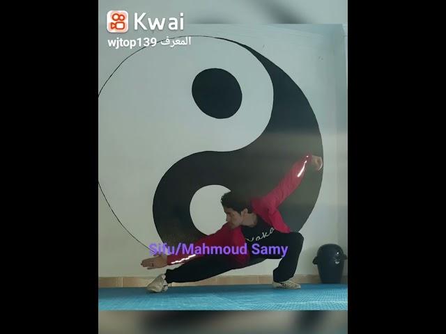 Sifu/Mahmoud Samy