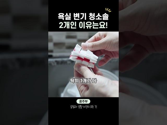 우리집 욕실에 변기청소솔이 2개인 이유...