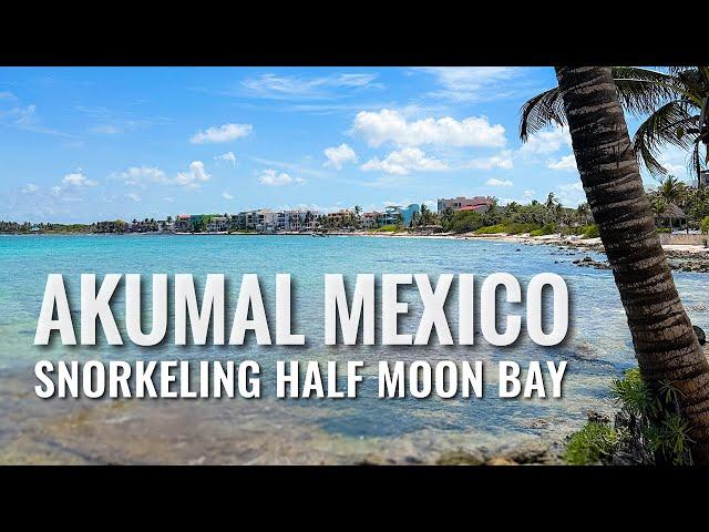 AKUMAL, MEXICO Snorkeling [4K] 2024