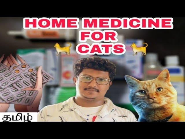 Must home medicine for cats | Persian cat medicines | My Kittens | Tamil