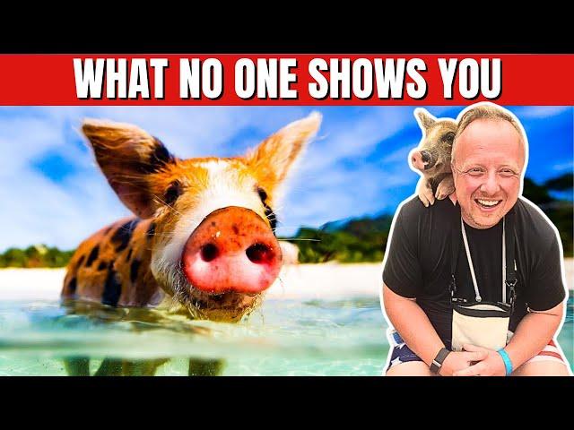 Is Swimming with Pigs at CocoCay REALLY Worth It? (actual footage) 