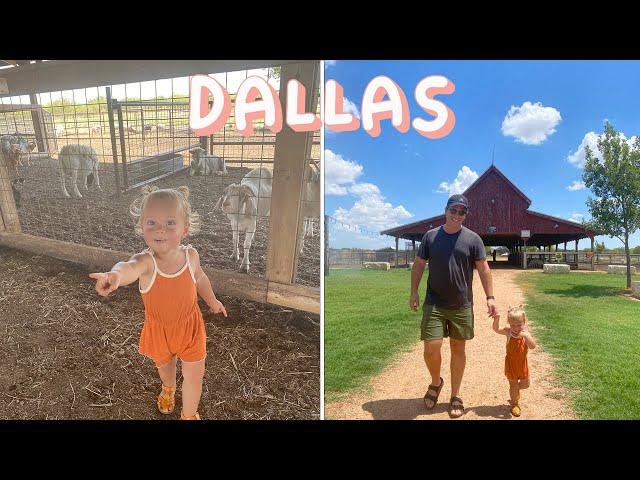 Dallas, Texas (Petting Zoo!)