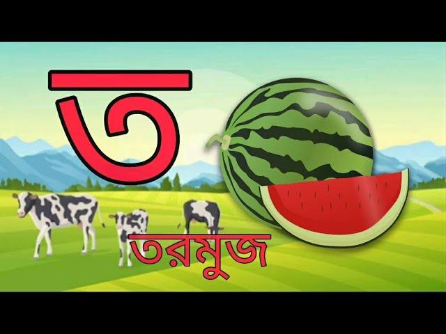 বাংলা ব্যঞ্জনবর্ণ ক খ গ ঘ||বাংলা বর্ণমালা||Preschool Learning Bangla Alphabets