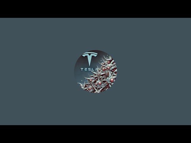 Tesla Roast Hub is live! cannonball run Michigan to California FSD 13.2. 8