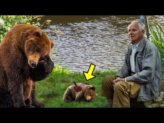 Mama Bear Took Her Dying Cub To The Fisherman & Begged Him To Save Her, Then THIS Happened!