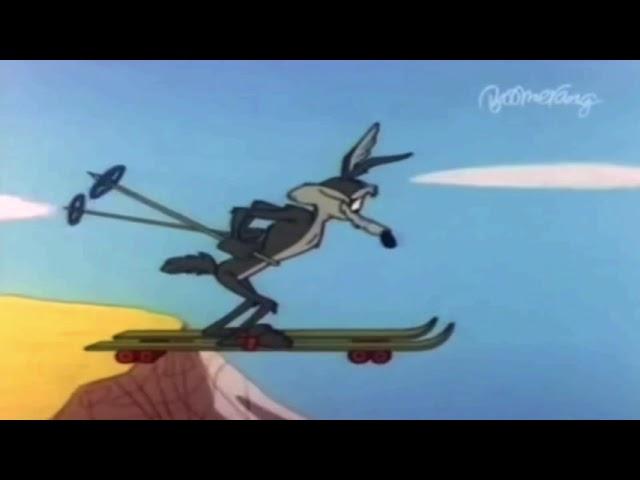 Wile E Coyote And The Road Runner In "Lickety-Splat"