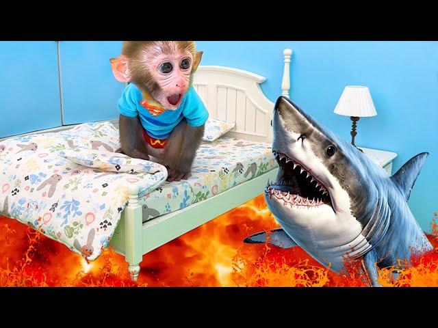 Monkey Baby Bon Bon goes shark fishing and eats watermelon and ducklings in the garden