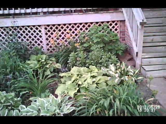 Diane's garden video.wmv