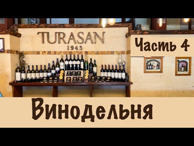 Сappadocia 2021 | TURASAN WINE FACTORY | WINE CELLAR | TURKEY | PART 4