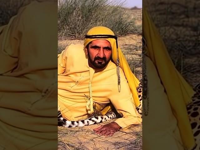 Dubai Sheikh Mohammed Al Maktoum nice pic #dubaiblog #royalfamily #USA#uaeroyal #royalprince