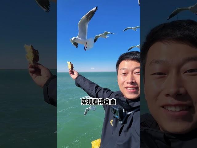 南疆路线出来啦，一起看大美南疆的胡杨吧浪浪星球旅行