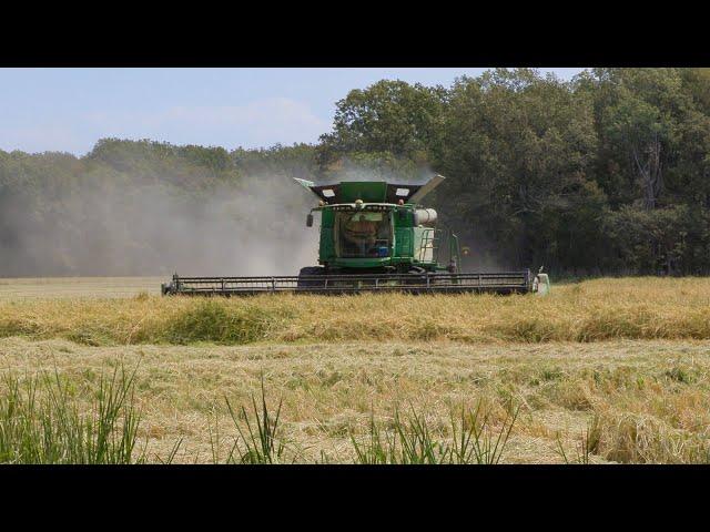 Arkansas County Farm Raises Rice Record