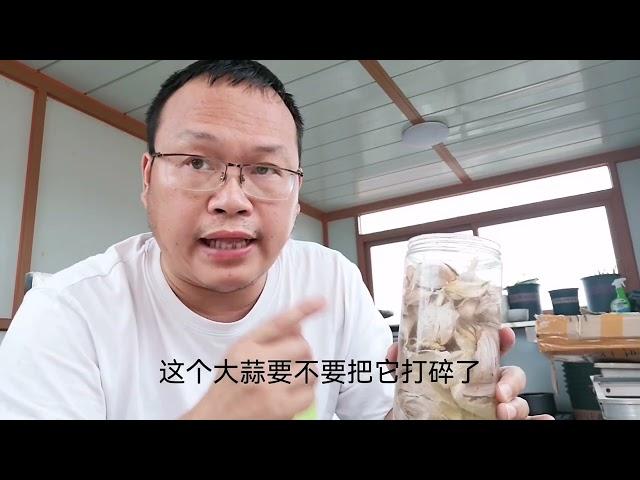 大蒜皮教你自制“钙磷肥”，比磷酸二氢钾好！