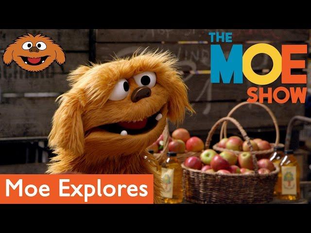 The Moe Show: Moe Explores - Orchard