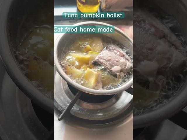 ￼ Cat  special food home-made pumpkin tuna boiled