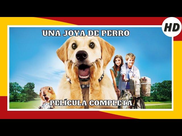 Una joya de perro | HD | Comedia | Película Completa en Español