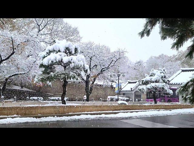 [4K] Walking on Snowy Roads, Palpan-gil, Samcheong-ro, and Cheongwadae-ro in Seoul