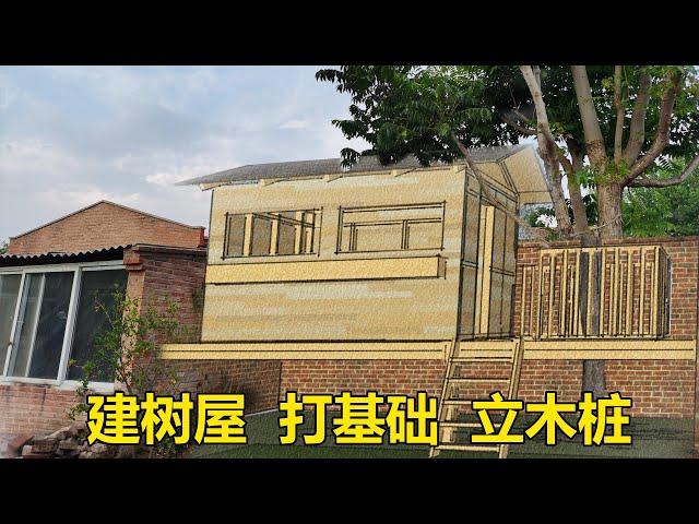 一起带娃儿 建树屋 挖基础 立木桩/ build the tree house, dig the foundation, and erect the stake