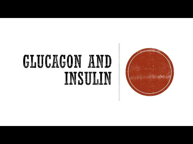 Glucagon and Insulin