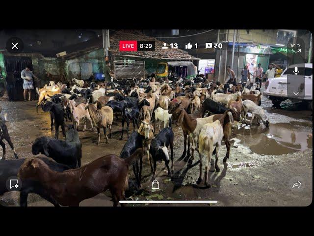 Kolkata Raja Bazar Goat Market | Live Now 