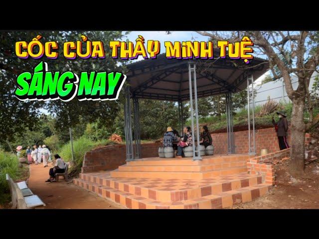 Cập nhật tình hình Cốc của Thầy Minh Tuệ sáng nay.#thichminhtue #minhtue