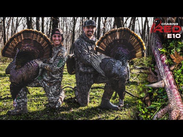 Redemption On Two STUD Long Beards, Once In A Lifetime Turkey Hunt #hunting #turkeyhunting