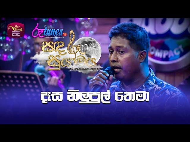 Dasa Nilupul Thema | දෑස නිලුපුල් තෙමා | Mithra Kapuge | Sandaru Suyamaya |  @RooTunes