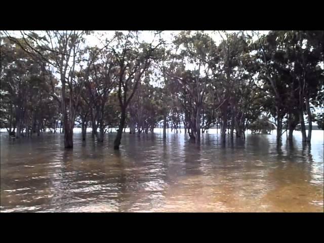 Swimming in Lake Glenmaggie on the Macalister River, Gippsland, Victoria