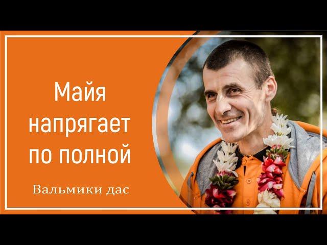 Майя напрягает по полной. Вальмики дас