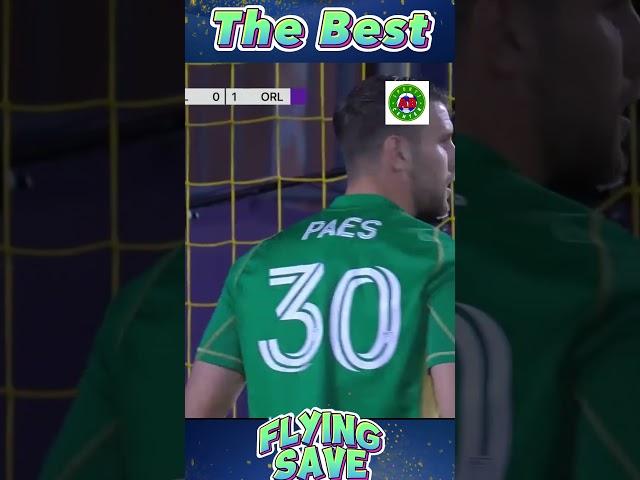 MAARTEN PAES "BEST FLYING SAVE 2024" Vol  3 #sports #football #soccer #sepakbola #worldcup #timnas