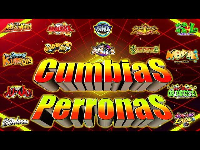 LAS MEJORES CUMBIAS SONIDERAS PARA BAILAR 2024 MIX CUMBIAS PERRONASMIX GRUPO QUINTANNA,TEPOZ Y MÁS