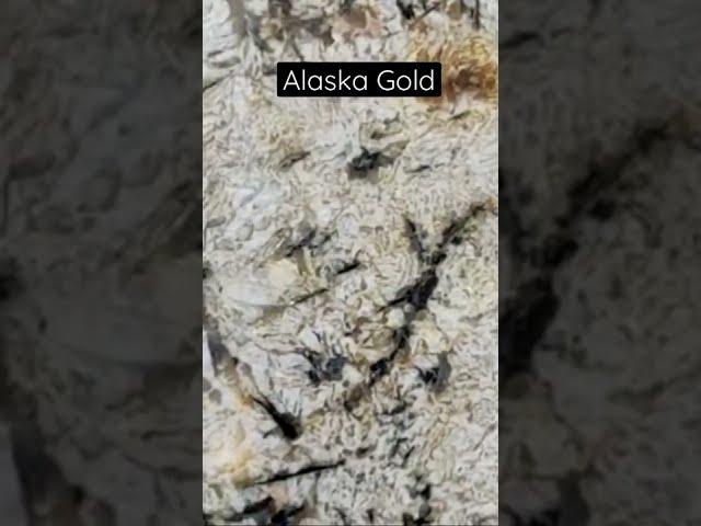 Alaska Granite । Indian granite।alaska ग्रेनाइट #alaska #shortvideo  #alaskagranite #indiangranite