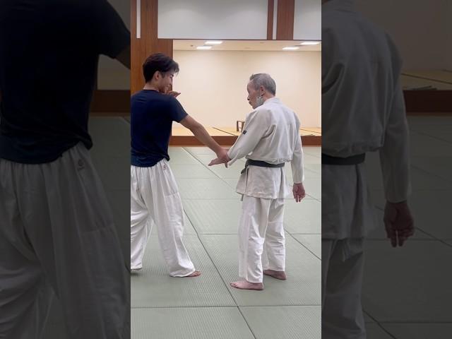 Do you understand logic of this technique?#aikido #合気道 #aikidotechniques #aikidolife #fighting