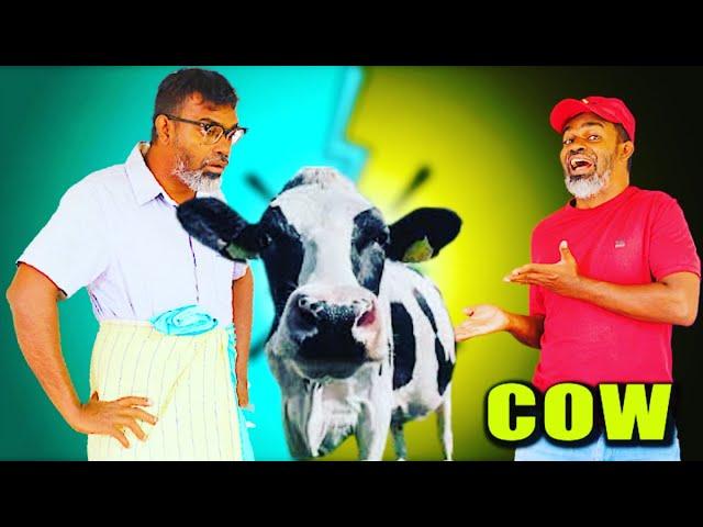 cow maadu | Tika Bro