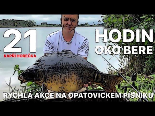 21 HODIN OKO BERE! - KAPŘÍ HOREČKA - TEST BOILIES - RYBAŘENÍ PŘES NOC POD NASH TITAN HIDE CAMO PRO