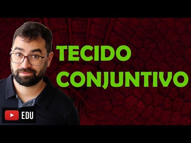 Tecido Conjuntivo - Aula 04 - Módulo VII: Fisiologia Humana | Prof. Gui