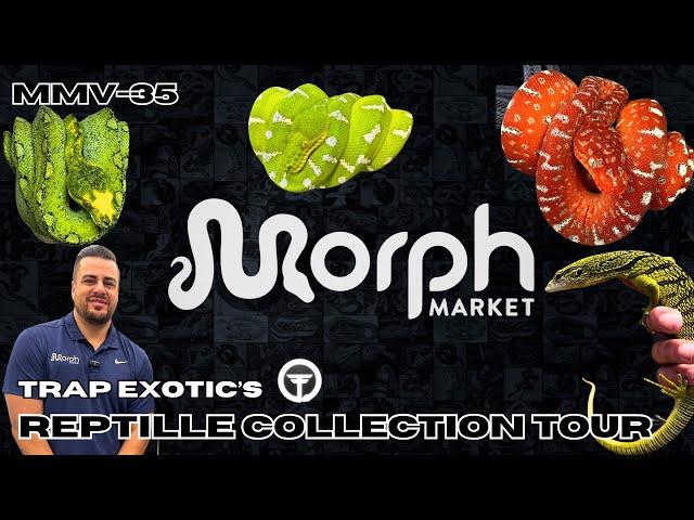 Private FULL Tour Of The Trap's Reptile Collection