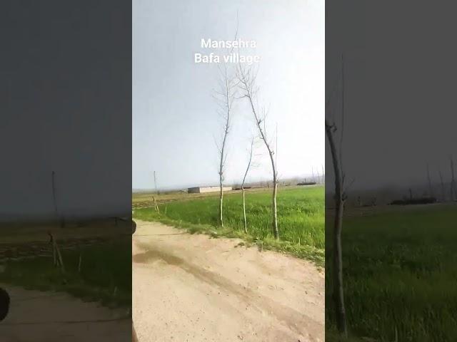 Village Life #nature #hazaraview #travel #kpkvines #beauty #beauty #hazara #music #kpkbeauty #love