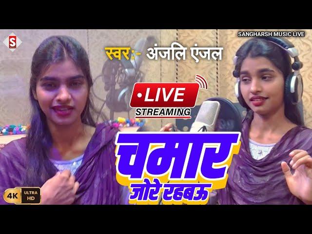 #Live_ Video - चमार जोरे रहबऊ | Ham Chamar Jore Rahabau #Anjali Anjal - Chamar Song 2024