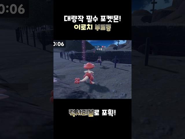 포켓몬 이로치 부르롱