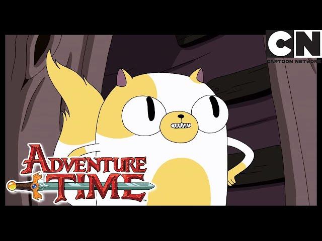 Bad Little Boy | Adventure Time | Cartoon Network